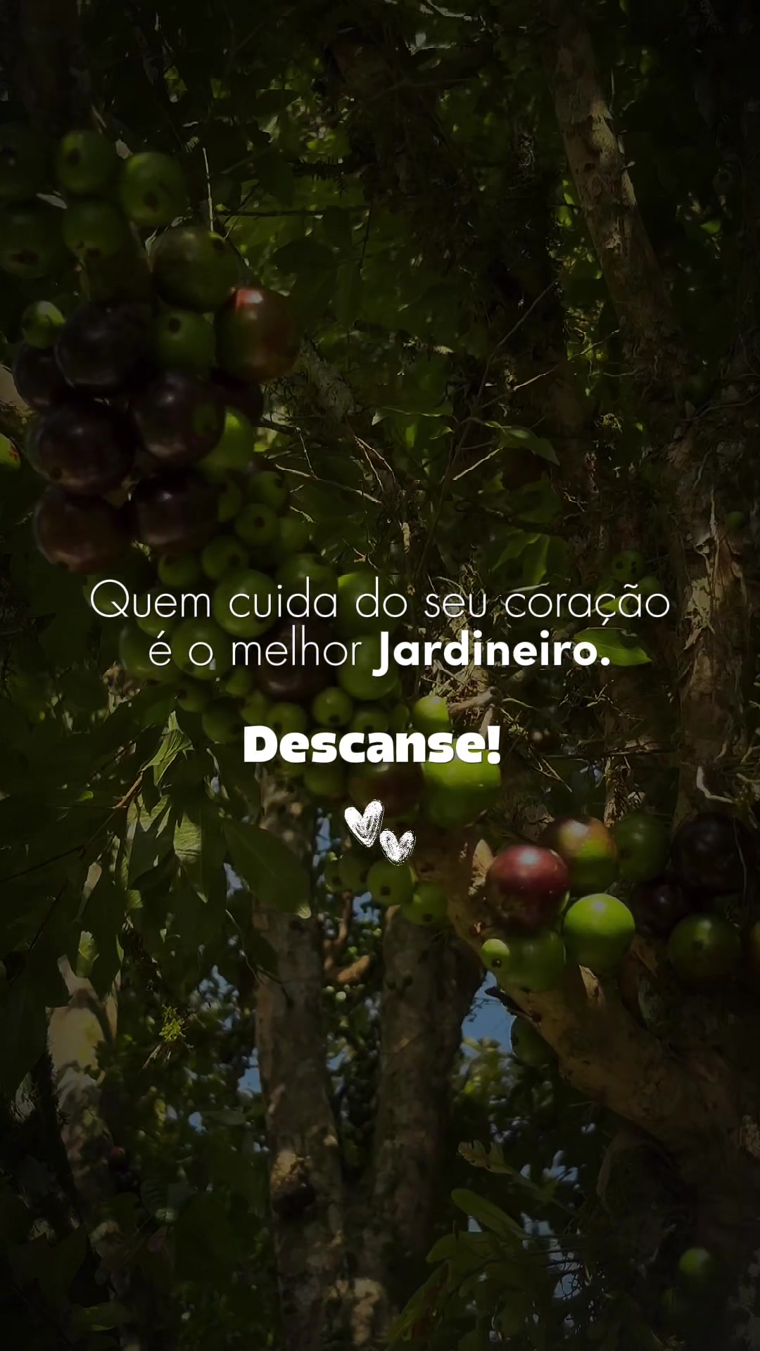 @Fr@ncielle Alves