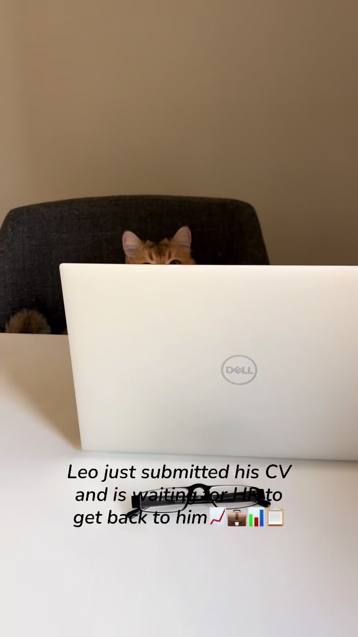 @Leo