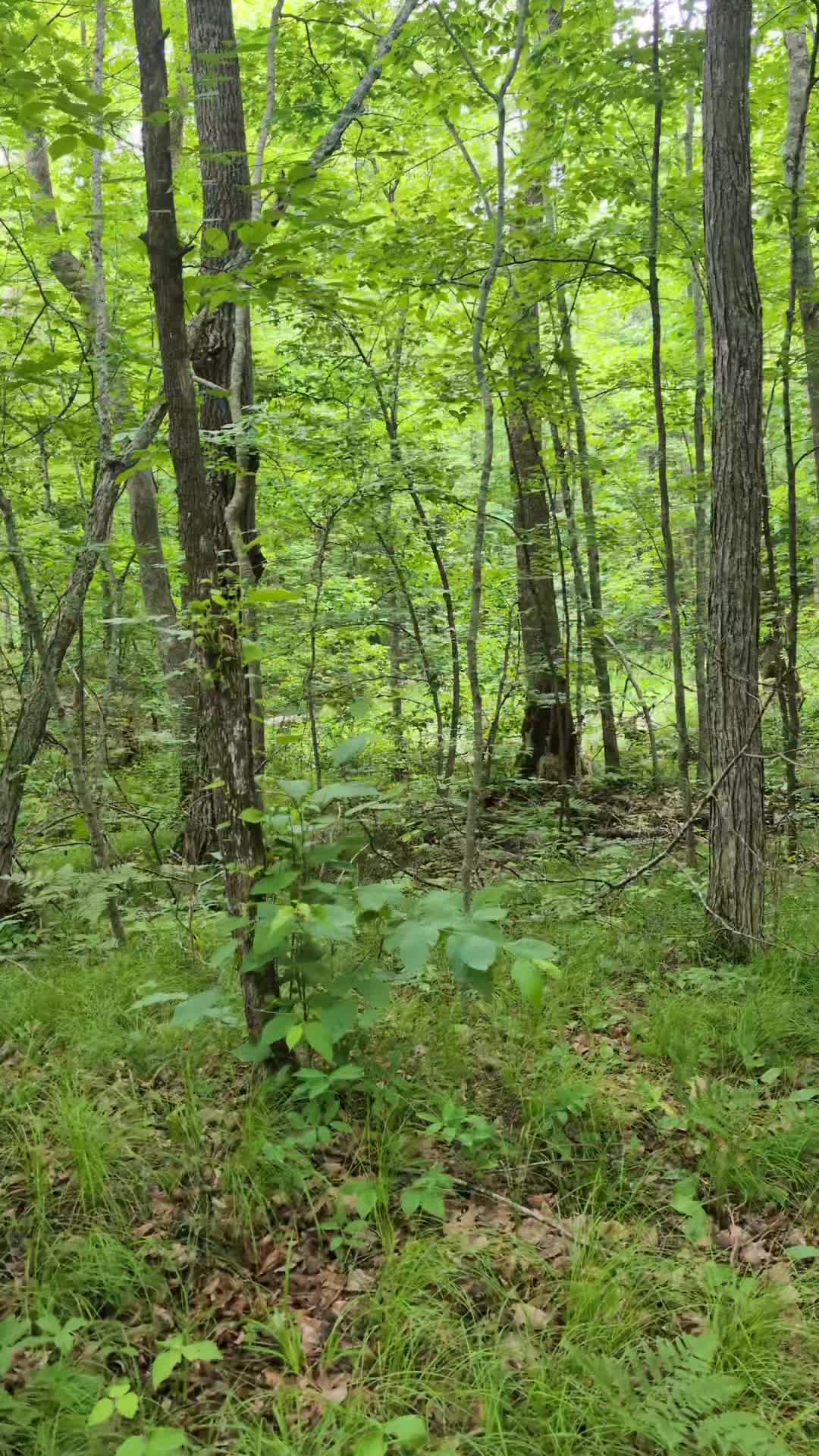 @R.