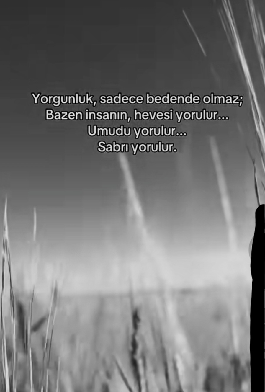 @☆🦋 ELİF.🦋☆ATHAN🦋
