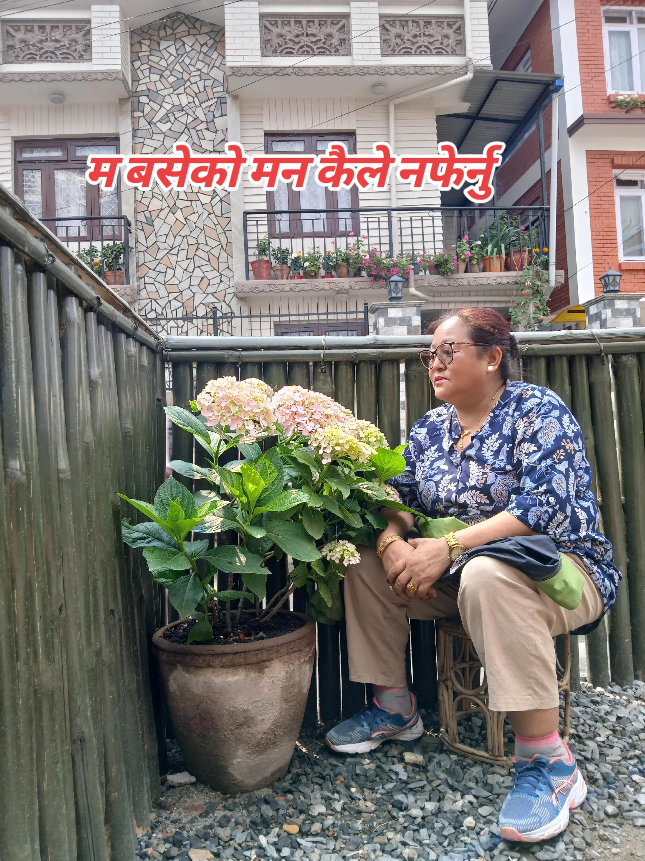 @माला राई