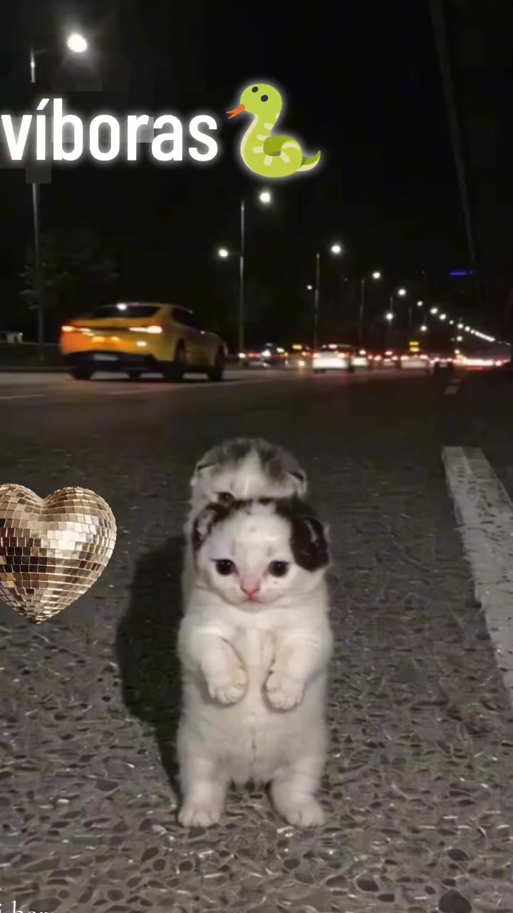 @𝓝𝓪𝓽𝓪𝓵𝓲𝓪 𝓝𝓾&ntilde;𝓮𝔃