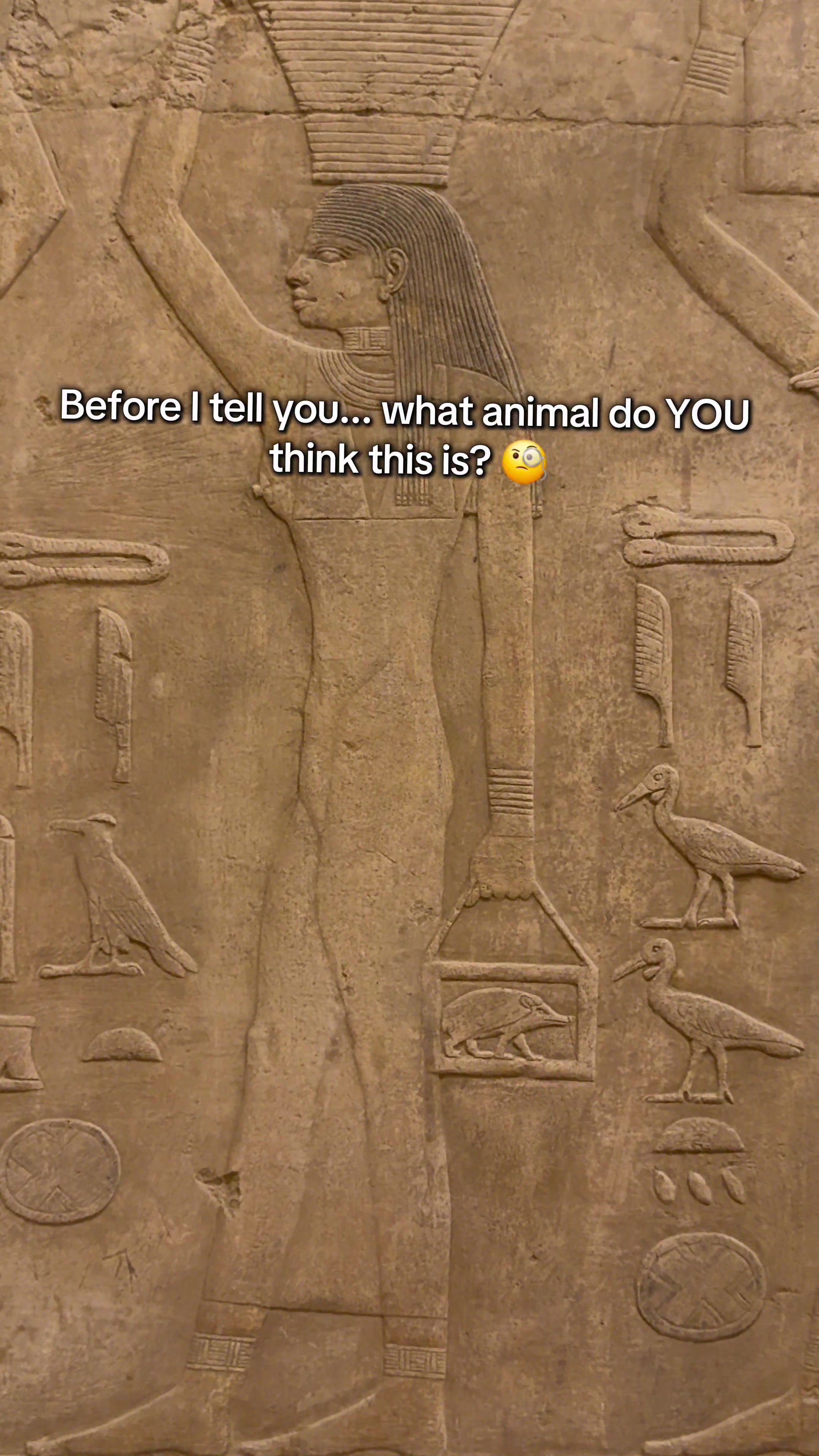 @Unlock Egypt Tours