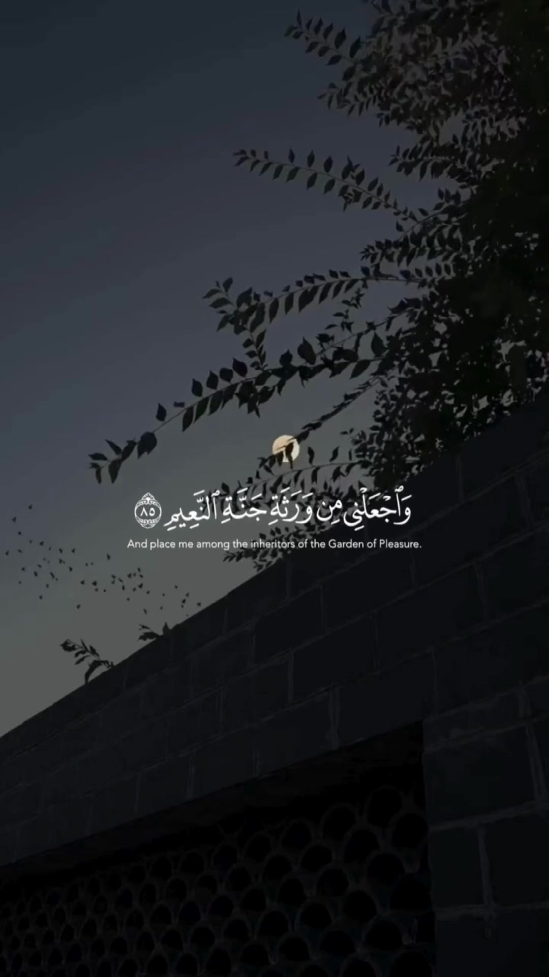 @قــرآن 1447هـ📚