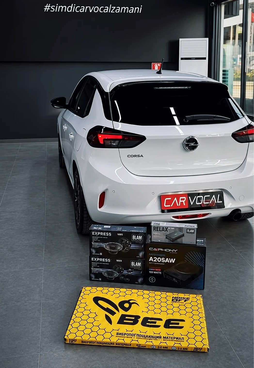 @Carvocal