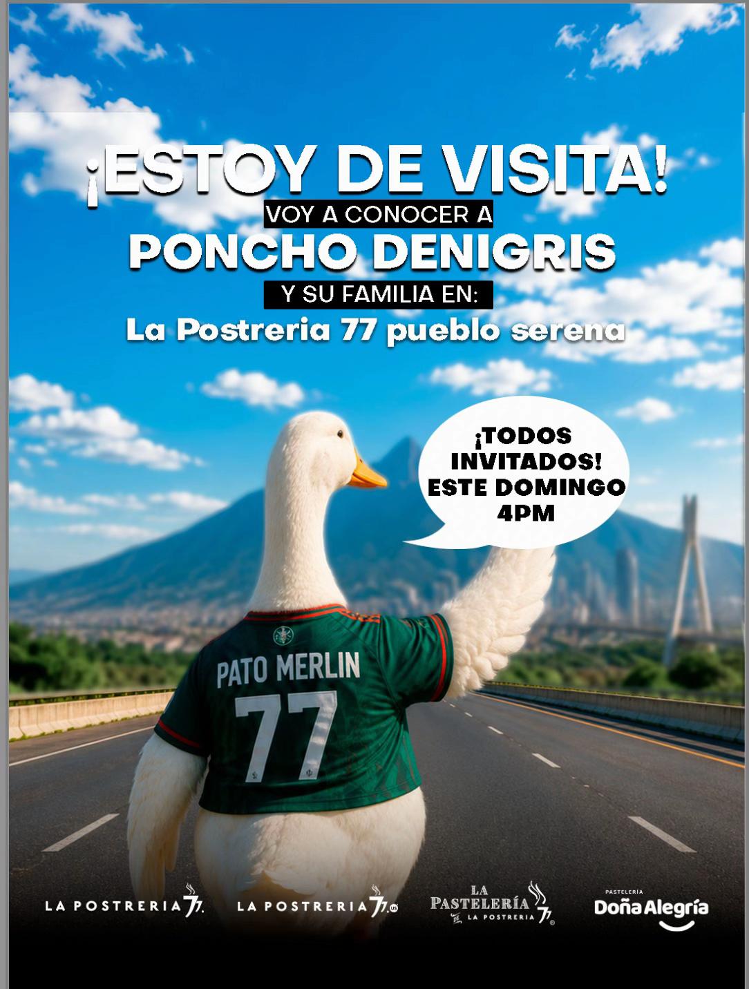 @PonchoDeNigris