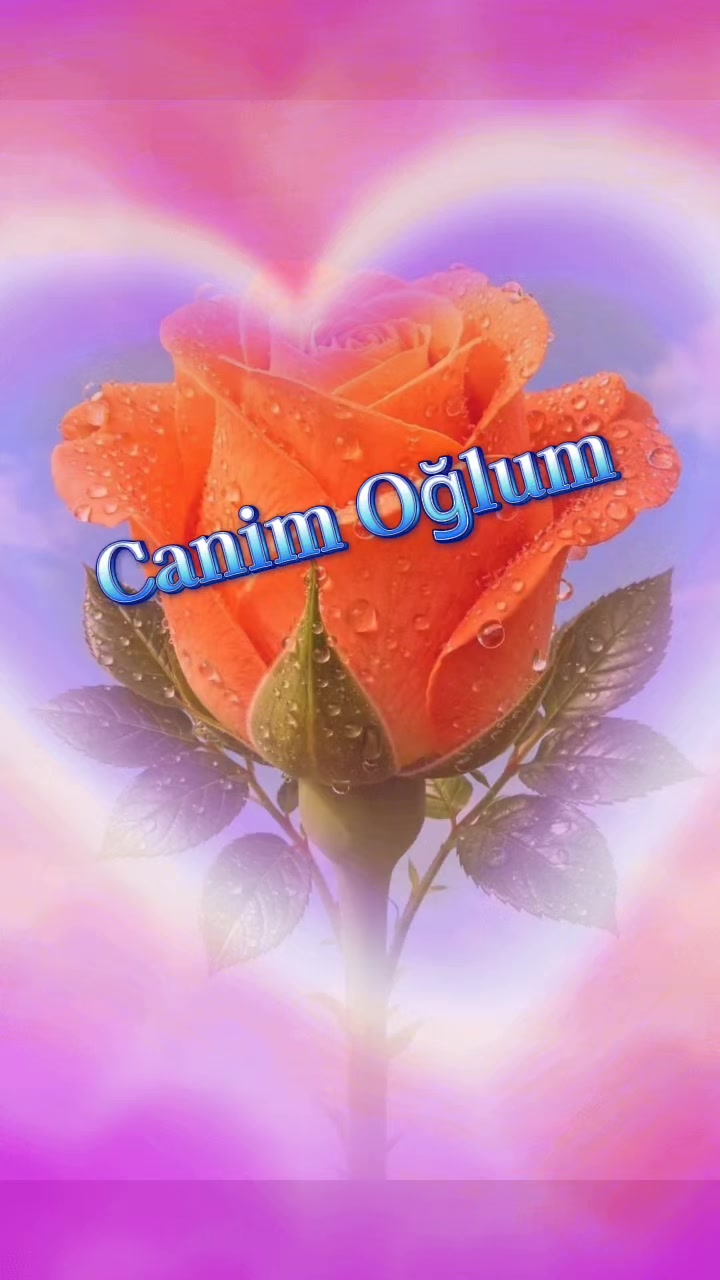 @💫🌹𝗚𝗨̈𝗟𝗨̈𝗠 🌹💫