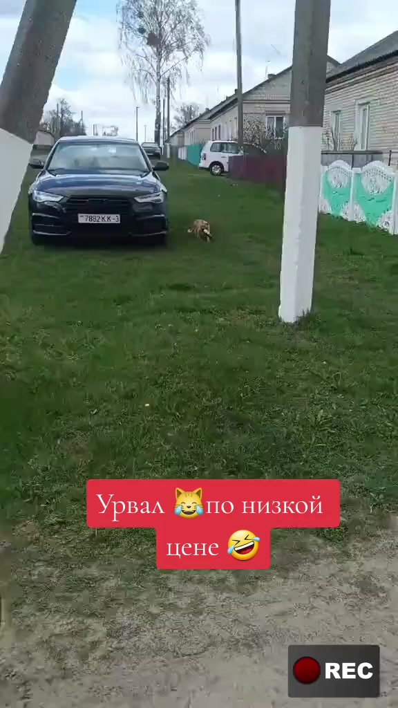@Лариса