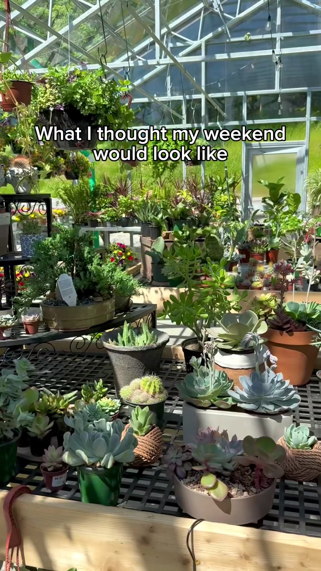 @Taskrabbit