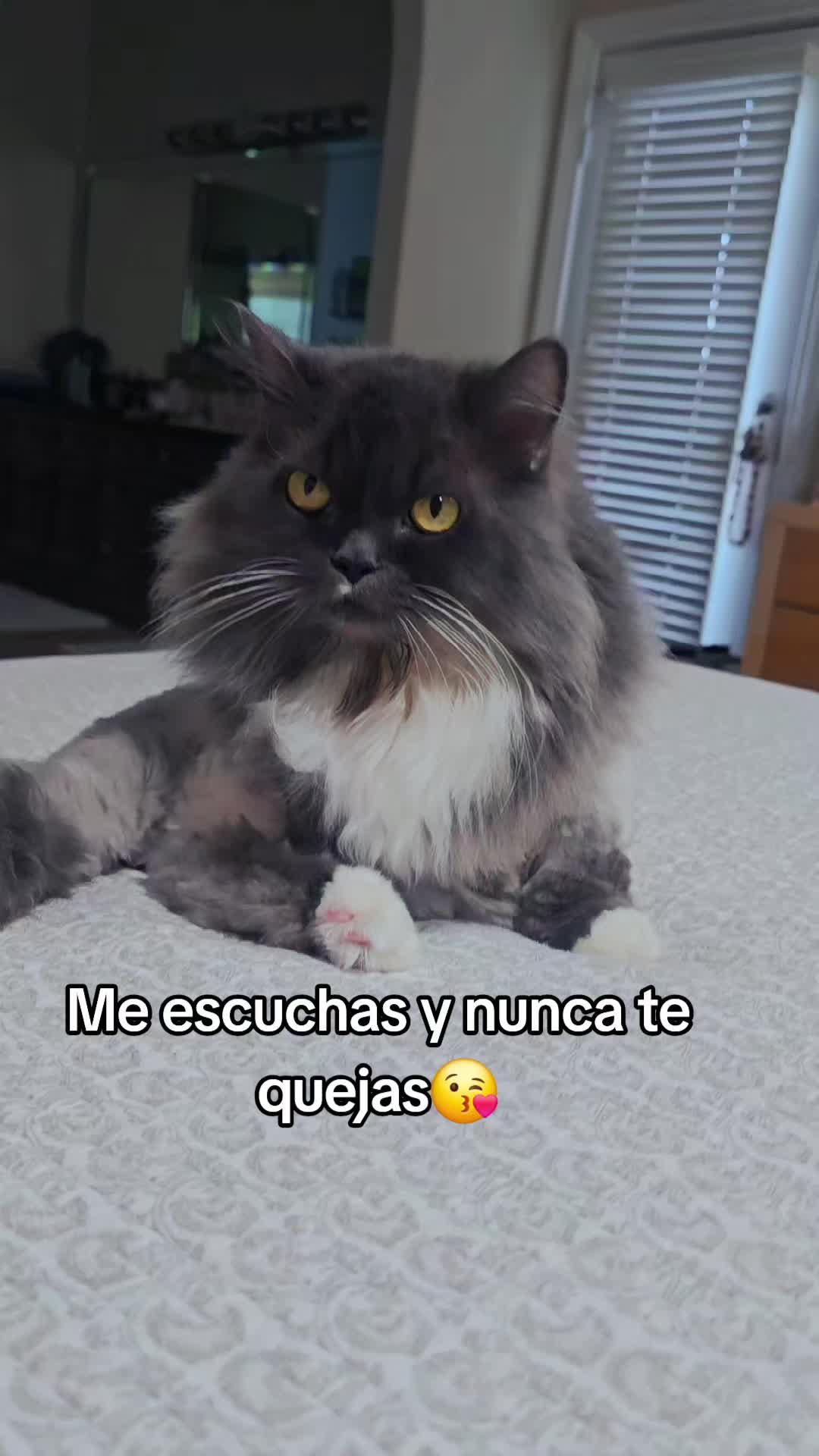 @adg