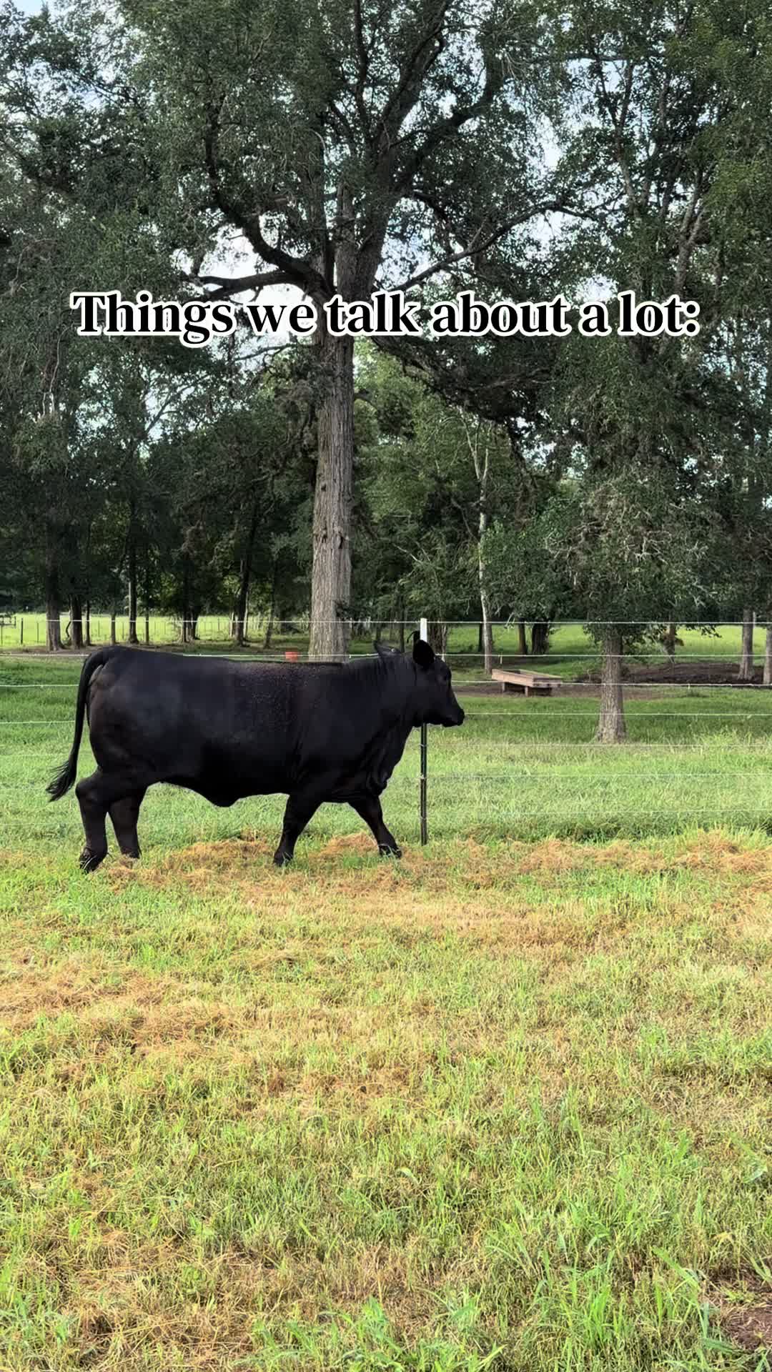 @Greenwood Stock Farms