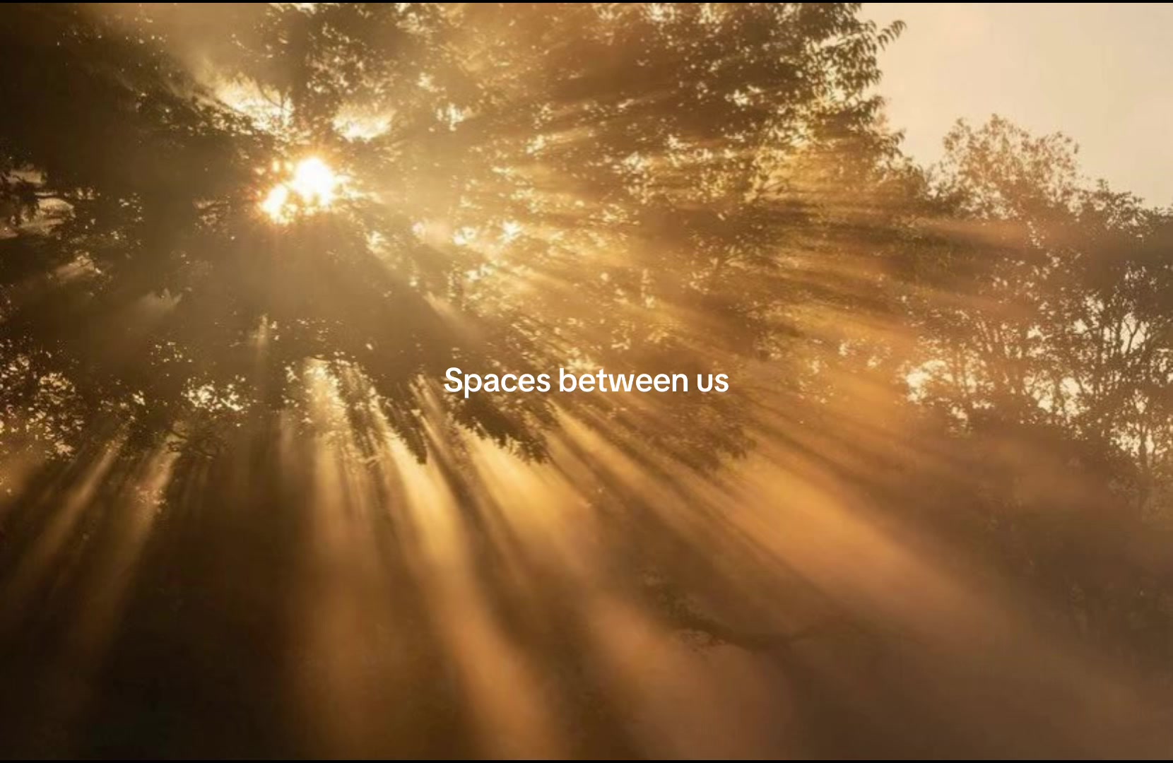 @𝑉𝑎𝑛𝑖𝑙𝑙𝑎