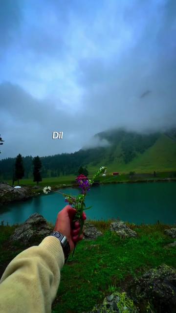 @🇮🇳𝕄𝕣_𝕣𝕠𝕙𝕚𝕥_𝕓𝕒𝕓𝕦