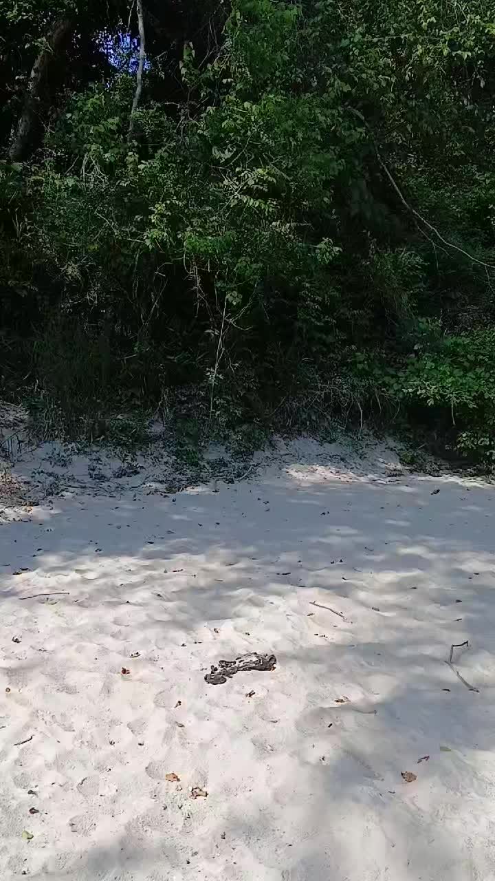 @MuddyFeet...