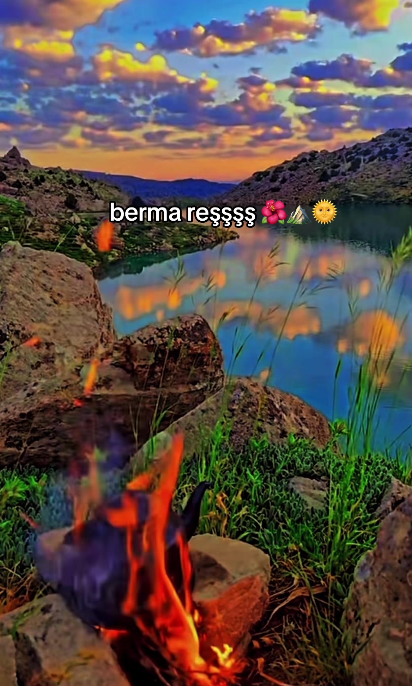 @ŞİYAR ✪