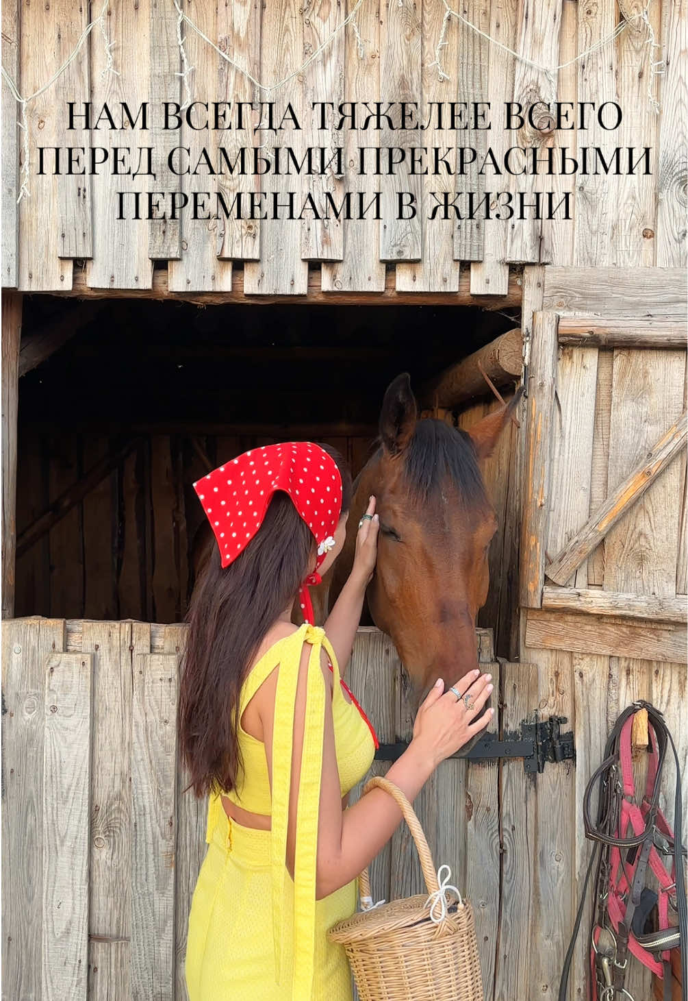 @Наташа Балашевская