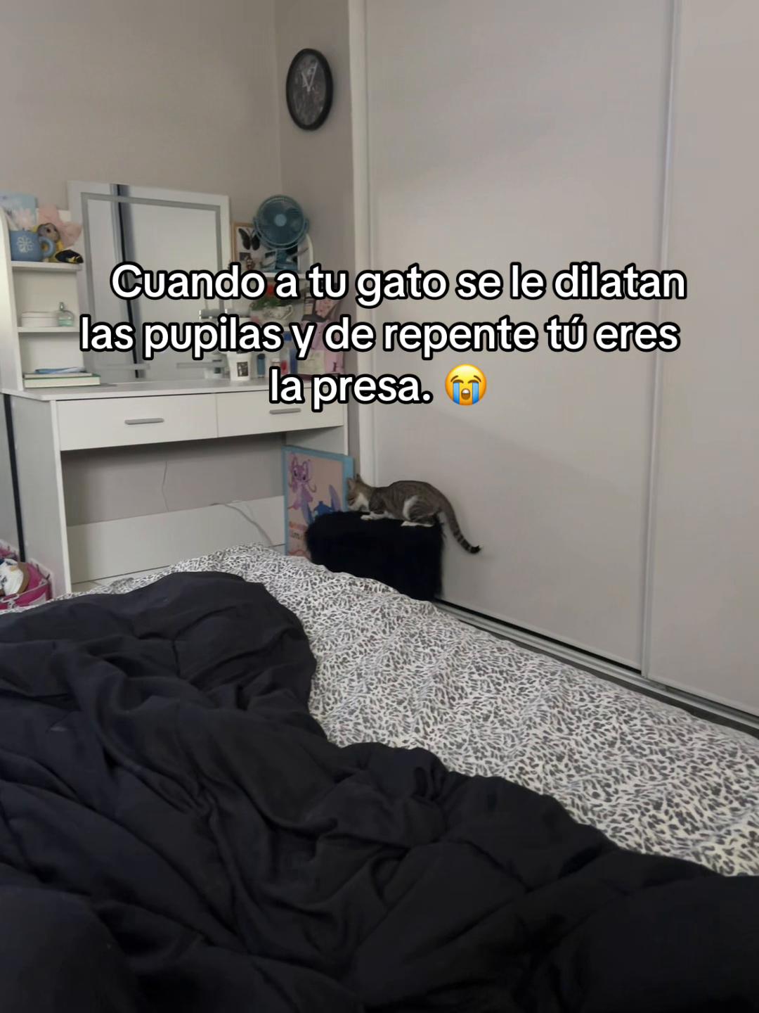 @FannyMJ