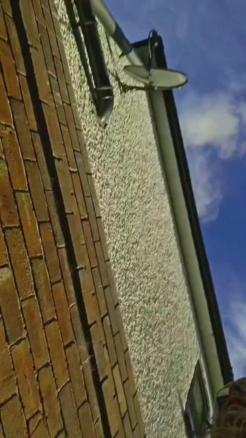 @pest