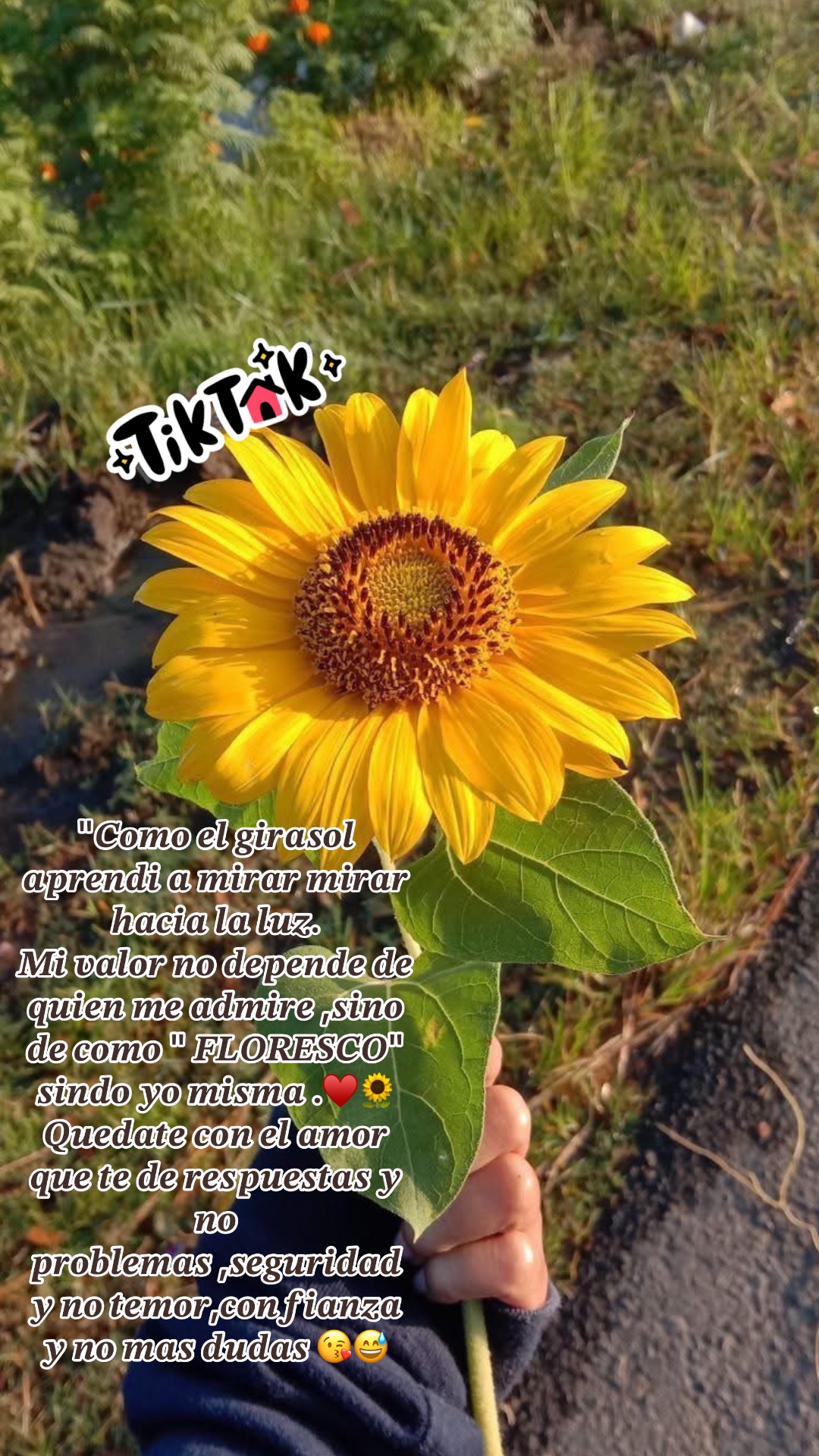 @🌻𝐋𝐮𝐜𝐲🫶🏼 🎤🩵