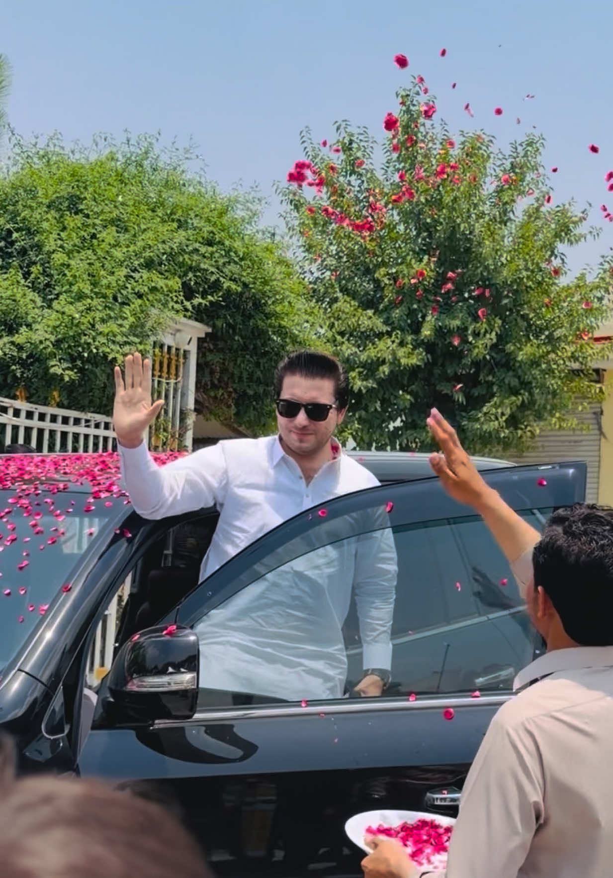 @Dr.Haider Ali Mohmand