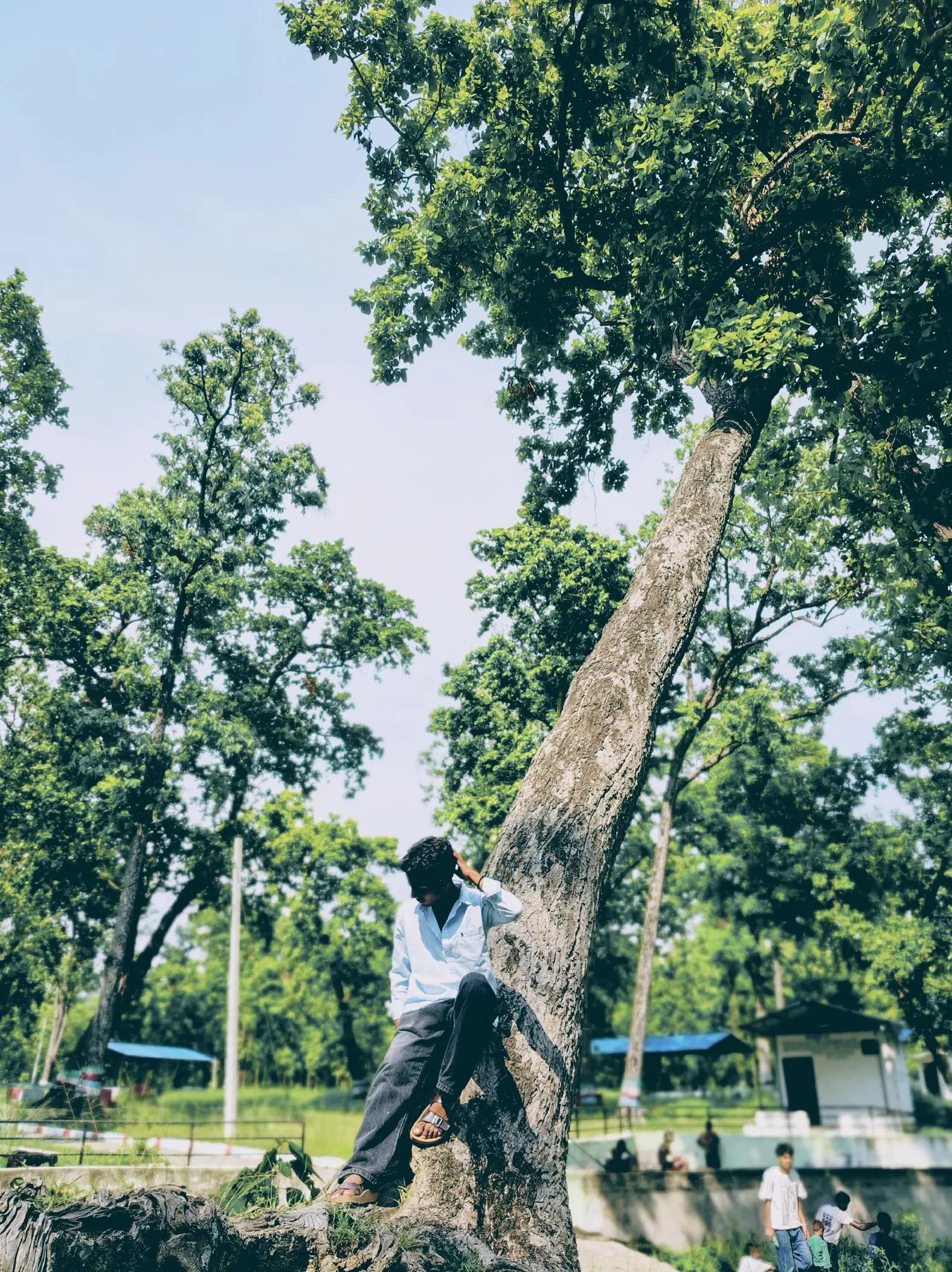 @‼️🚩यदुवंशी 🚩‼️