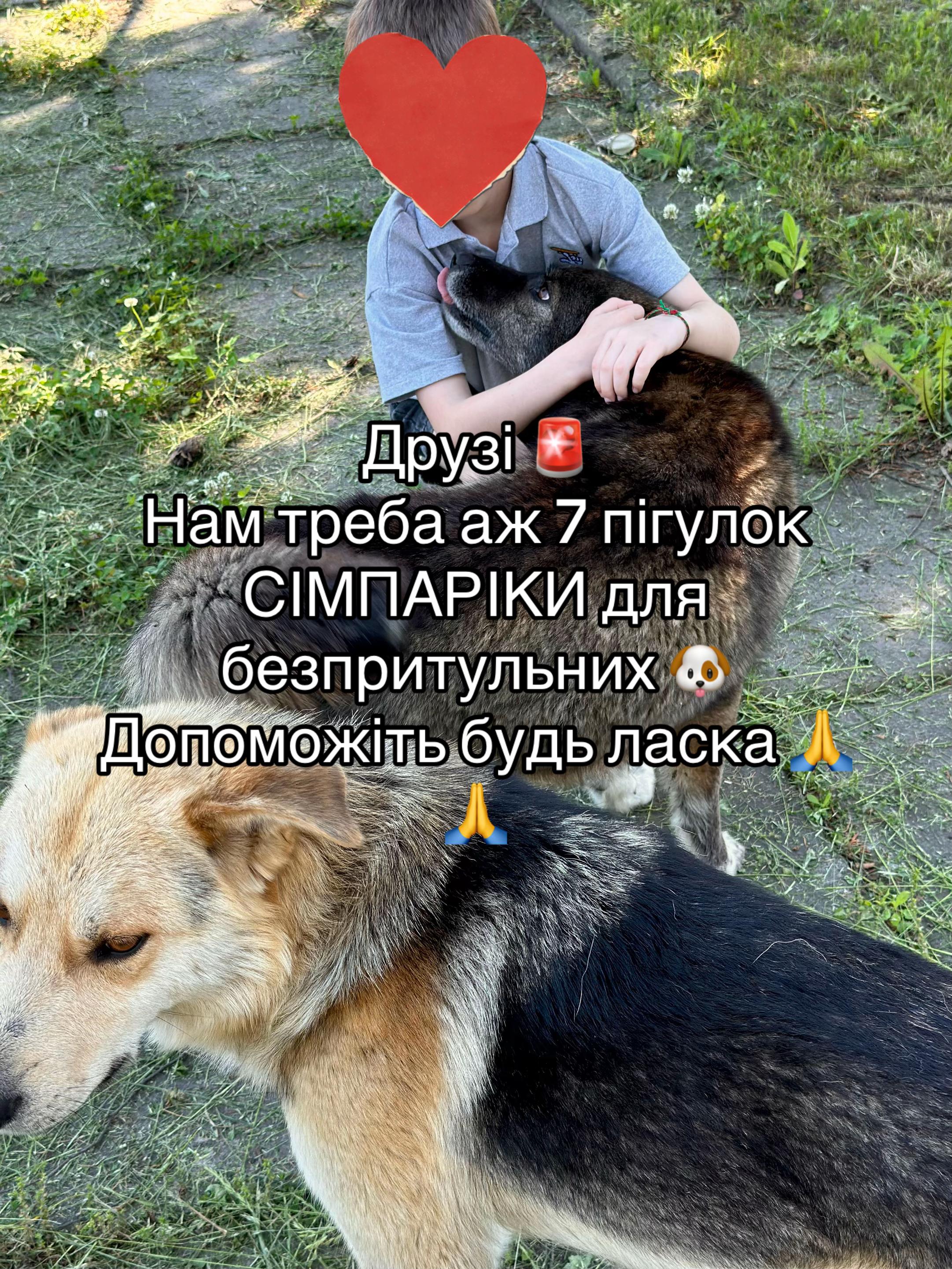 @tanya.help.animal