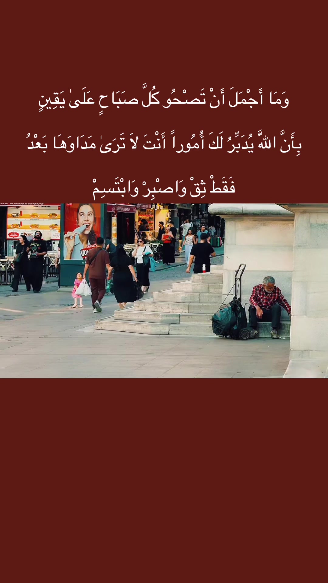 @المجتهد