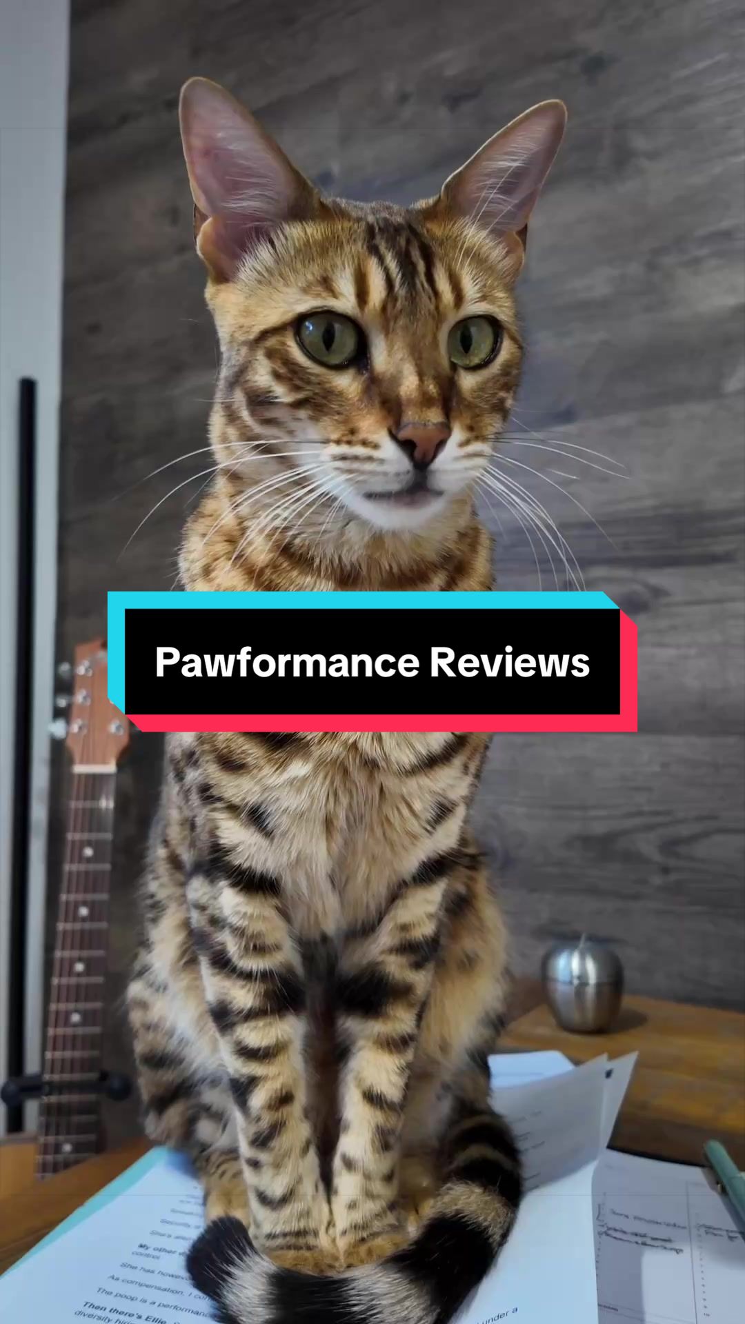 @Skeeter The Bengal