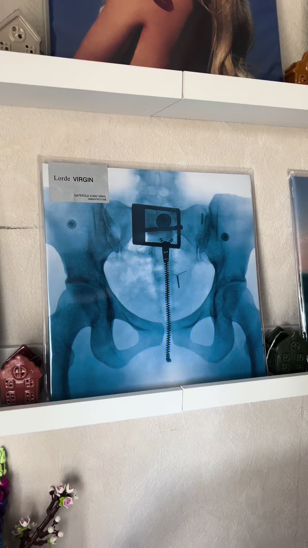 @Rolien || Vinyl & Records