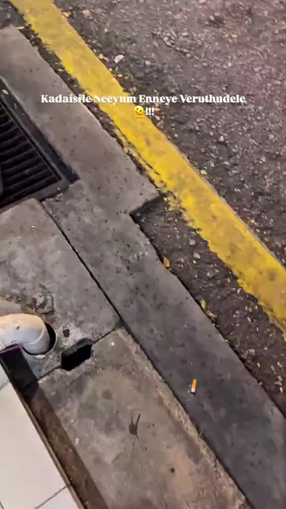 @ᥫ᭡ .