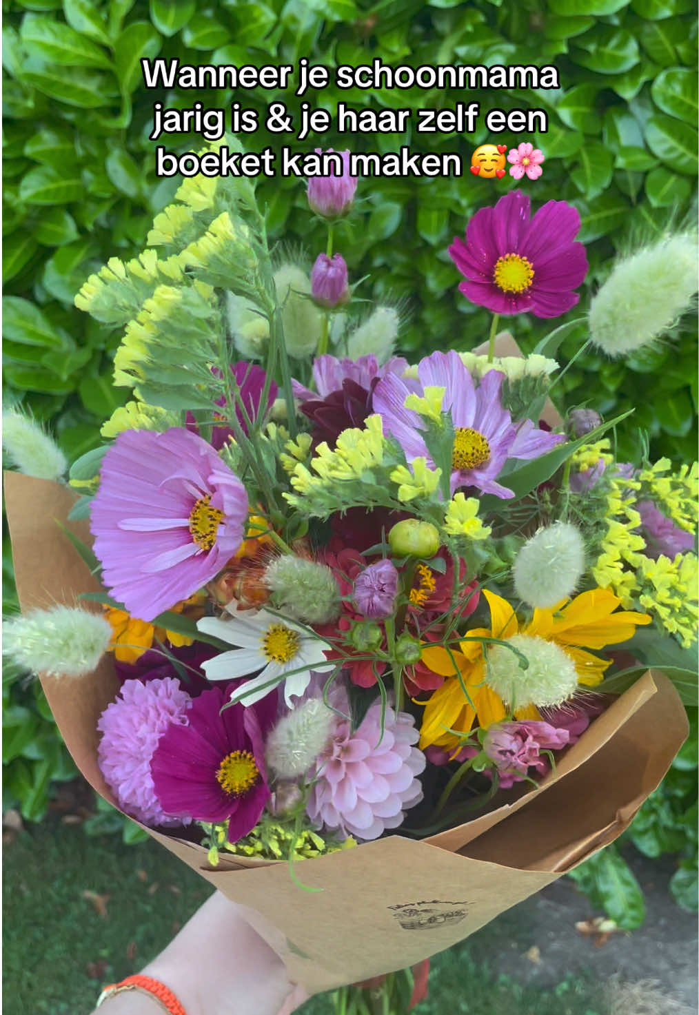 @Felia Goovaerts
