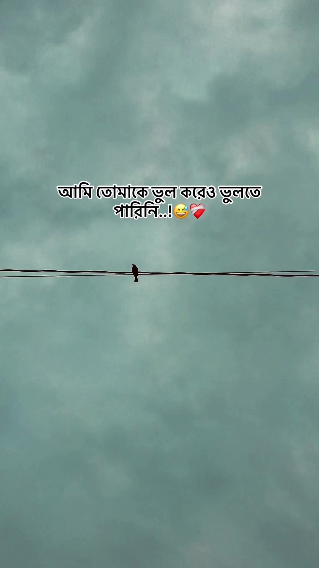@the_spydoo🕸️ 🥏