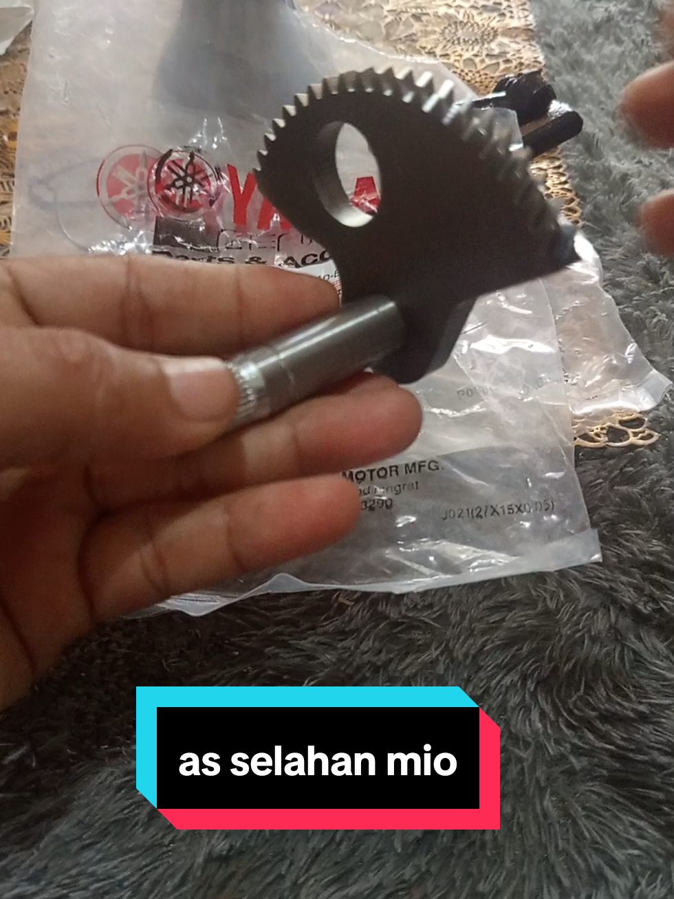 @wan 3281
