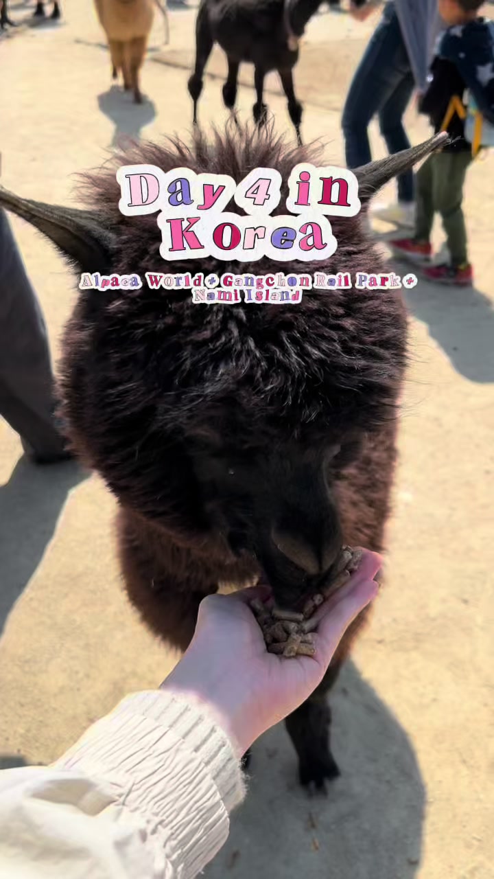 @Chels | Kpop & Foodventures
