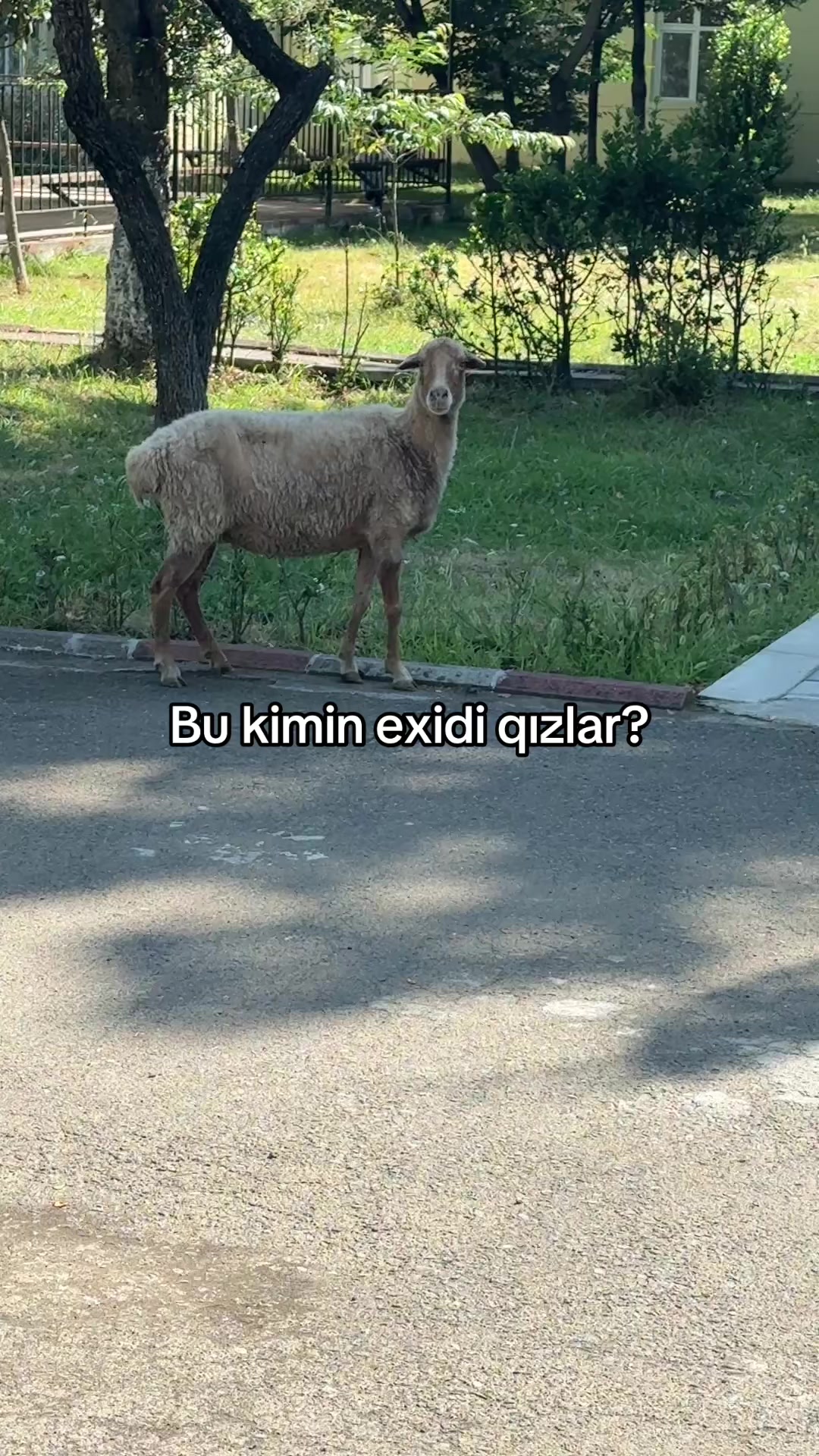 @𝓜. 𝓔