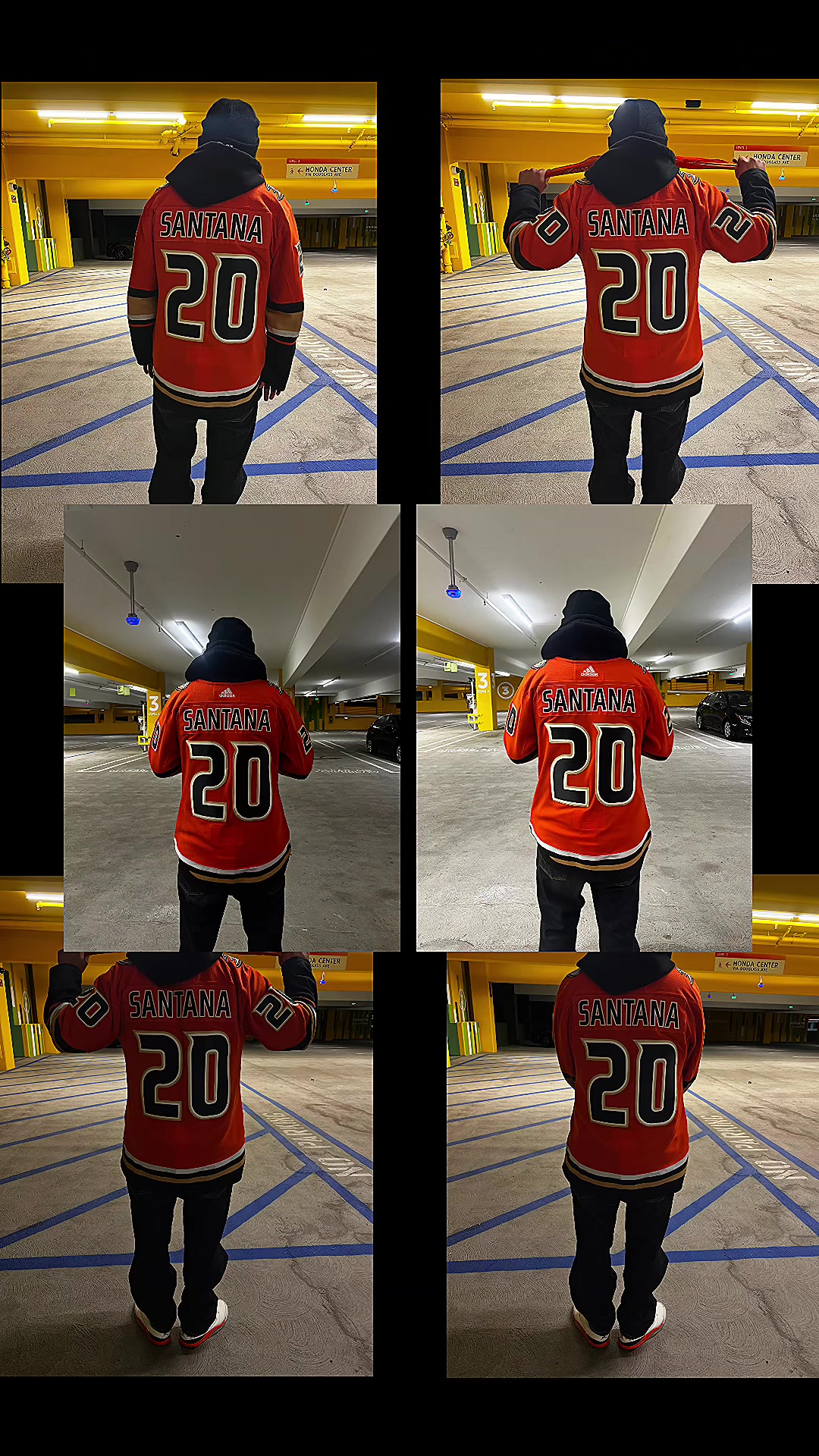@Ducks world Order