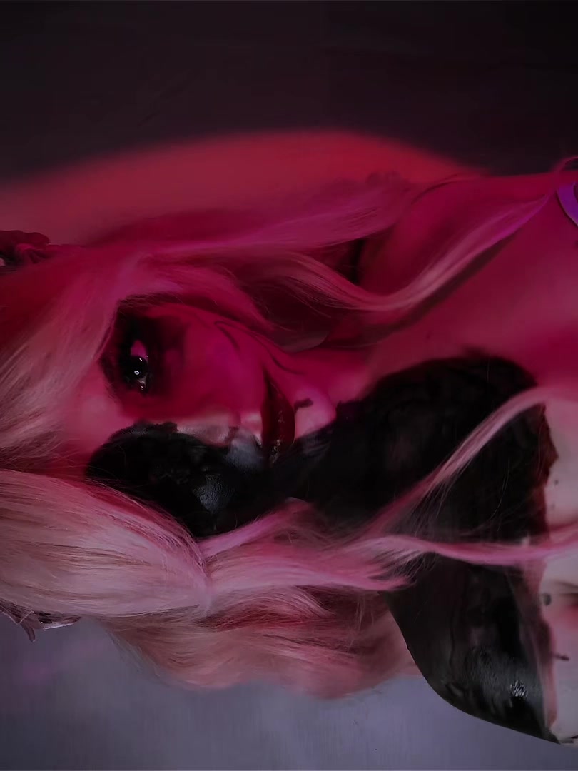 @stellarainecos