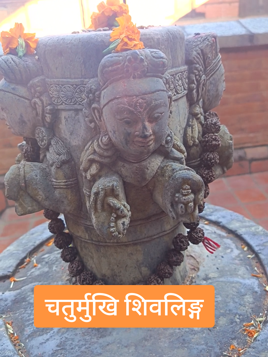 @tulsi paudel