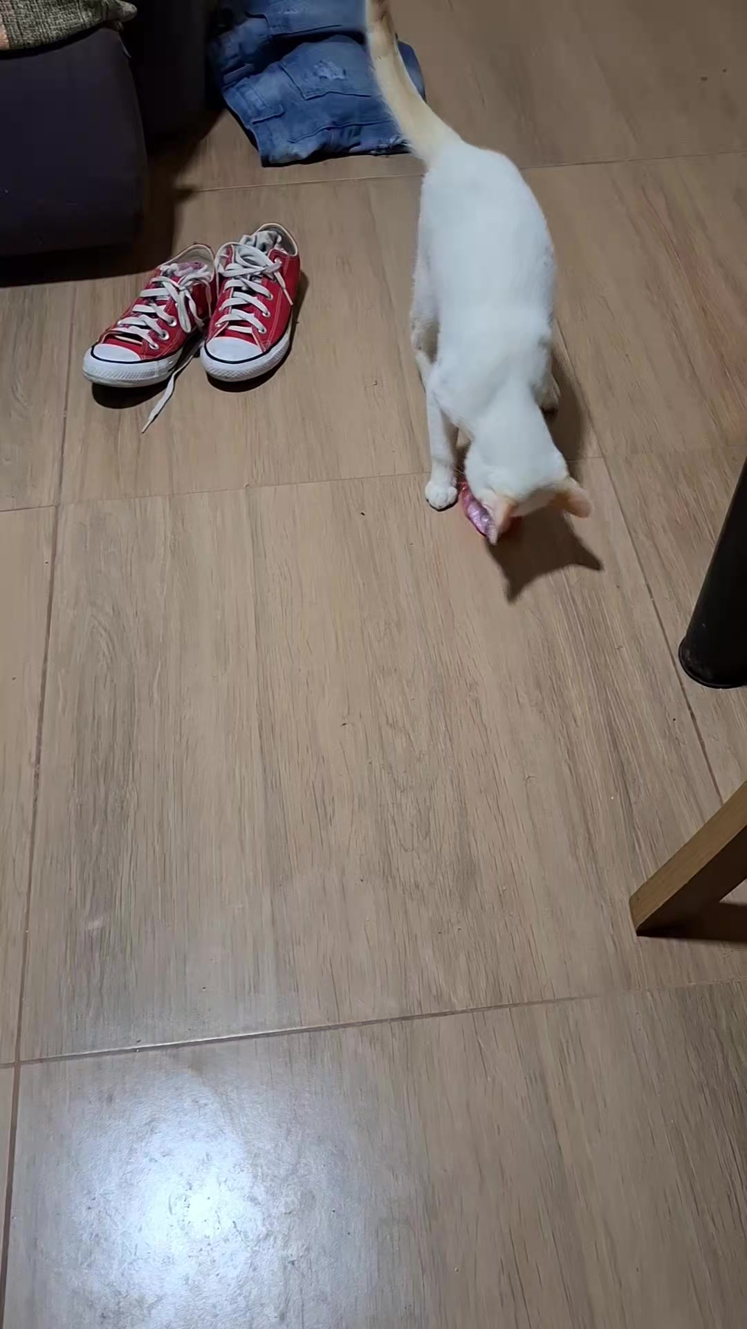@🍉