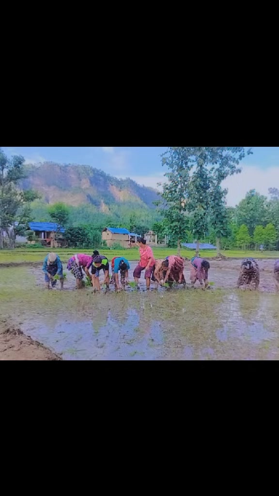 @kamalachalaunebista🇳🇵