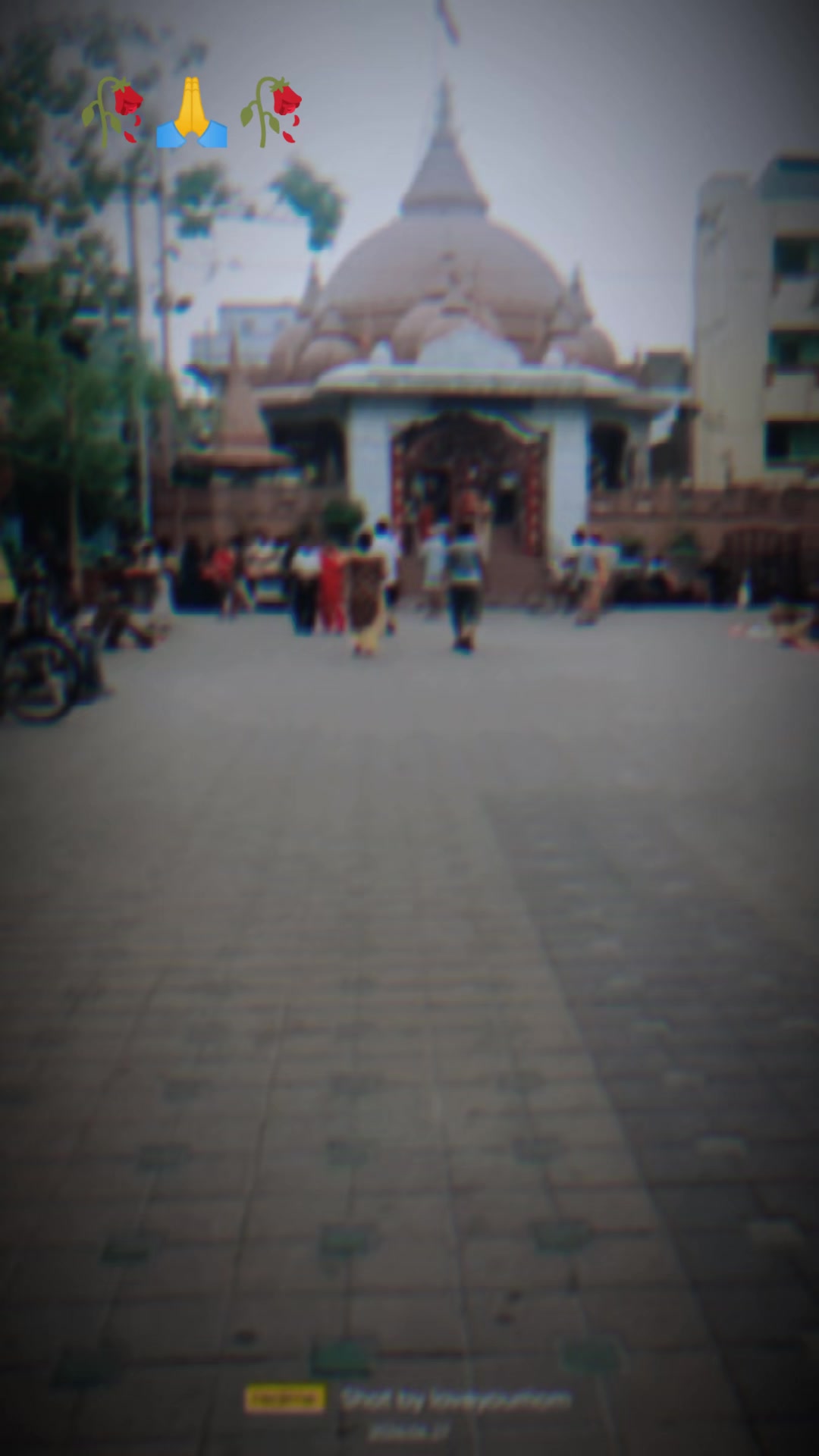 @❣️राधे राधे❣️