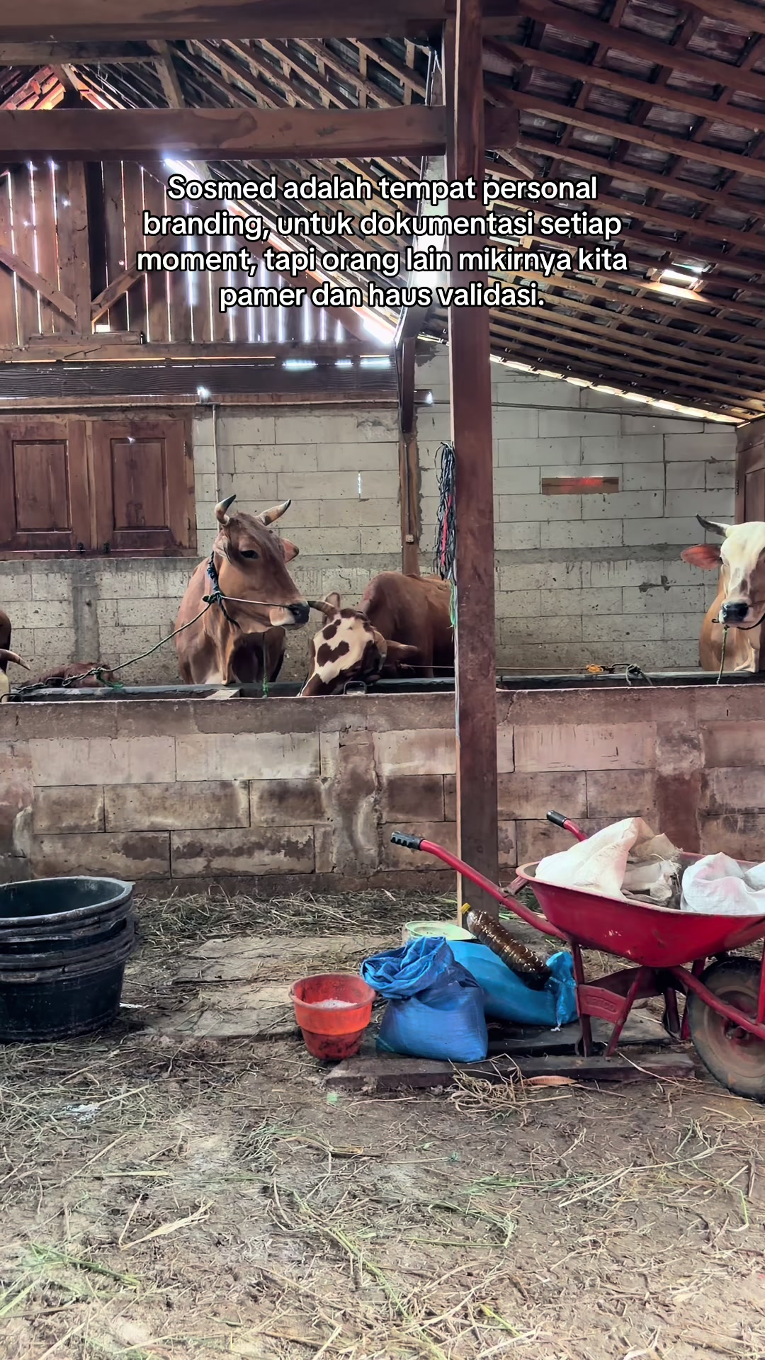 @zero farm