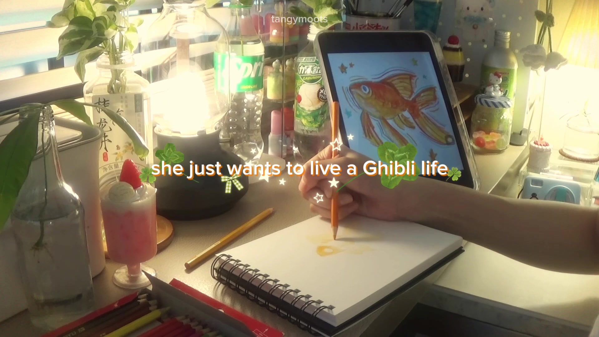 @Jia ⋆ ꕥ ⋆