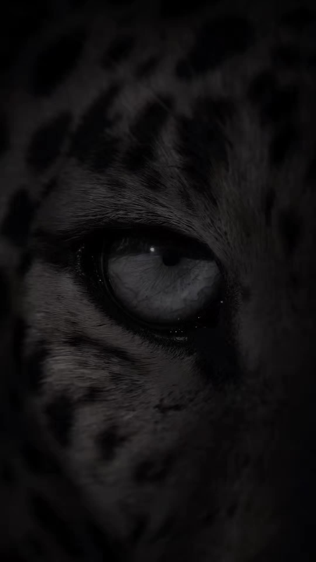 @෴෴╰‿╯෴෴ 𝐊𝐢𝐧𝐠