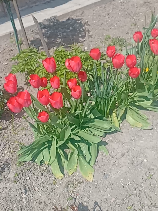 @Призрачка