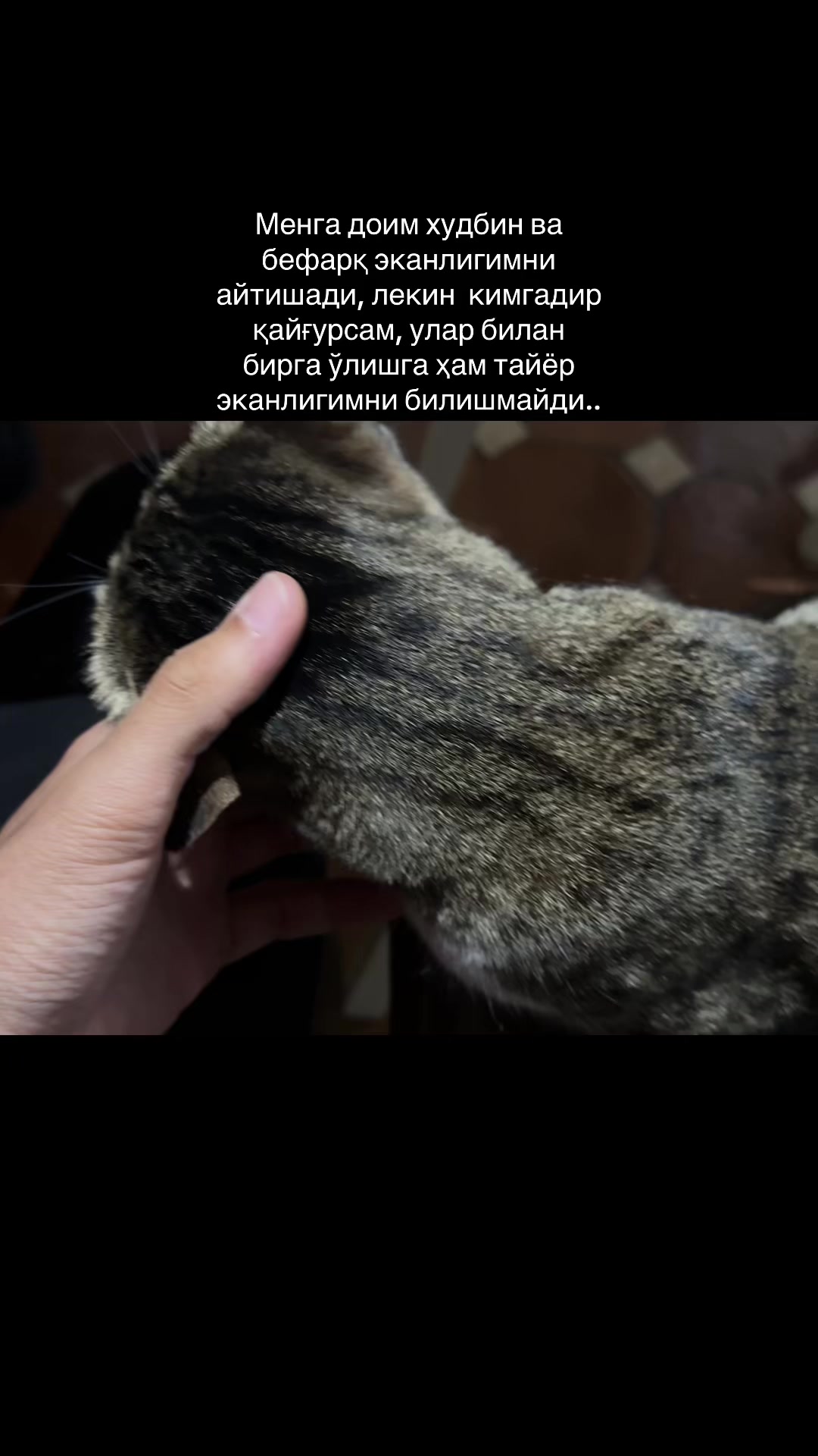 @Февраллик🩵