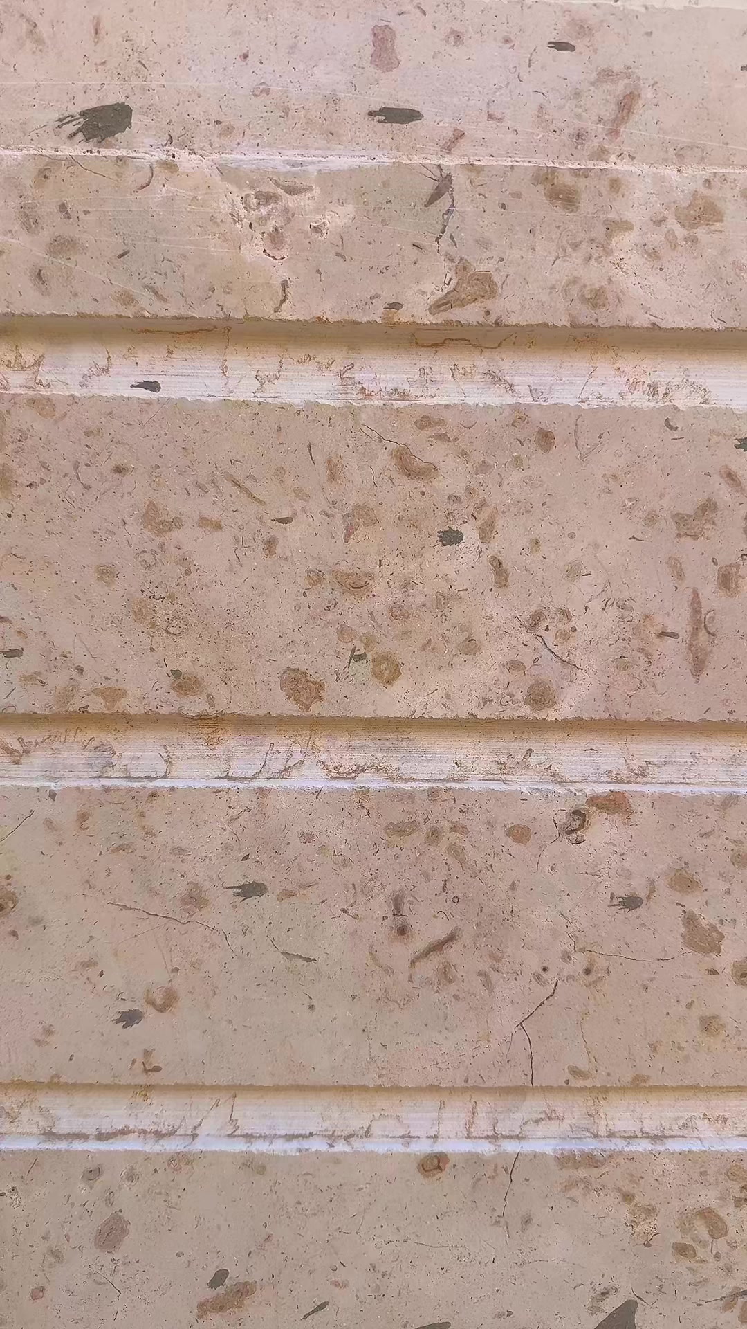 @المعلم أيمن طبنجة