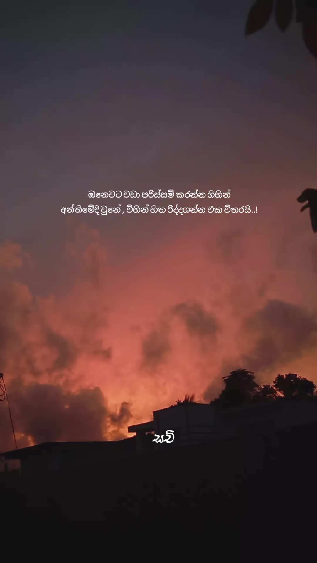 @𝙎𝗮𝗰𝗵𝗶 ┃ සචි 〲☸️🇯🇵