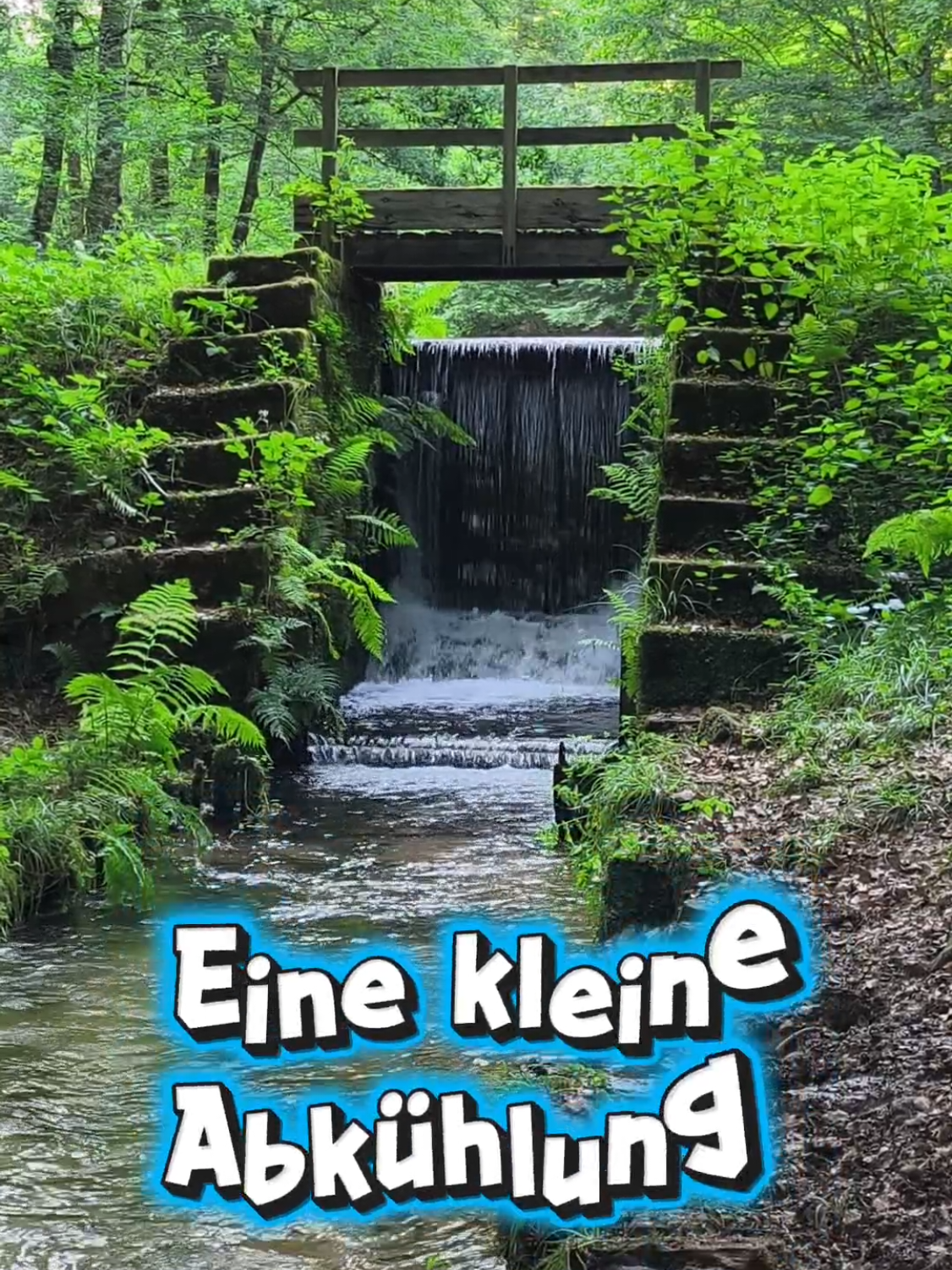 @ICH BIN'S