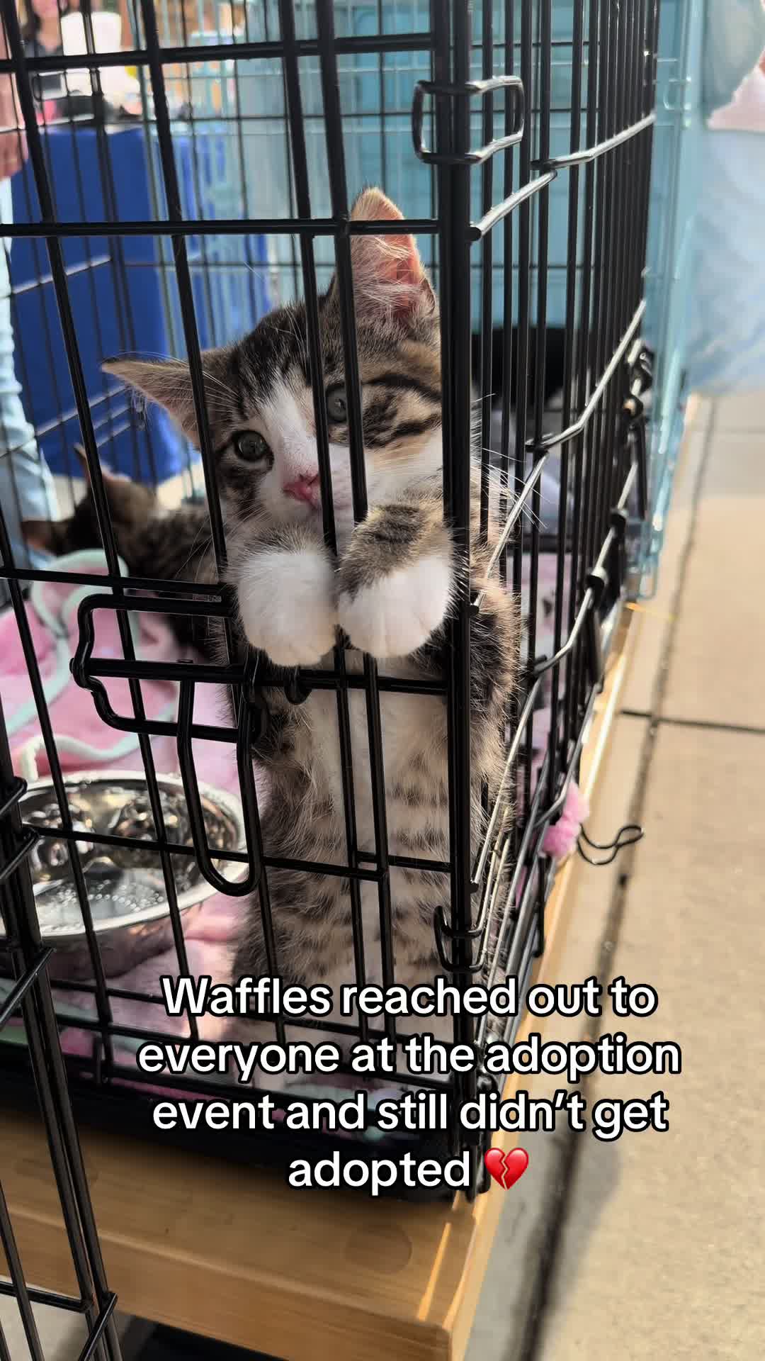 @Happy Tails Animal Rescue